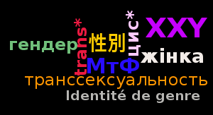 yana-sitnikova-transgender-terms