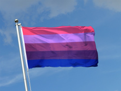 bi-flag